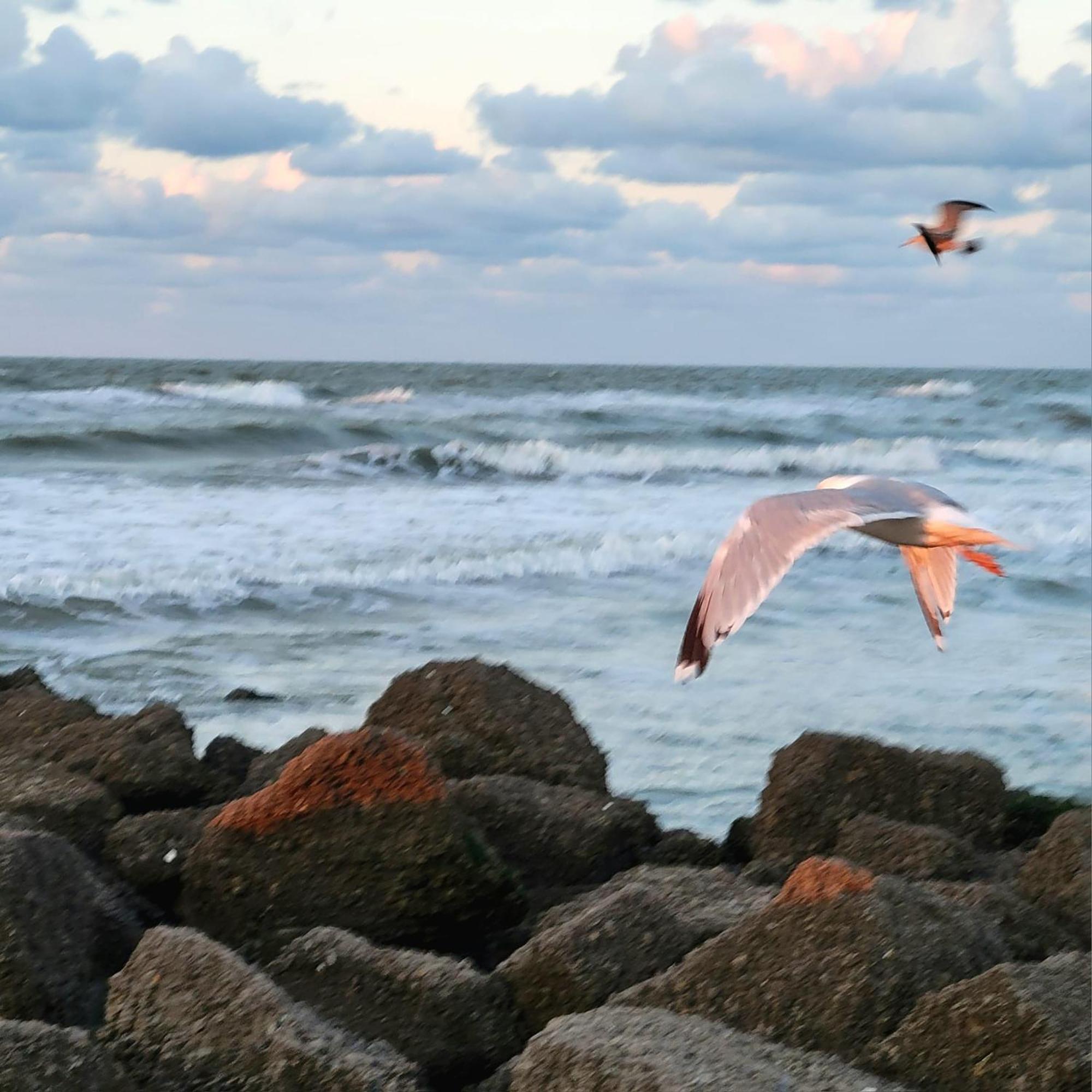Caravan Aan Zee Arnani Middelkerke Bagian luar foto